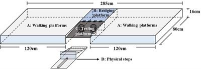 Impaired ankle inversion proprioception during walking is associated with fear of falling in older adults